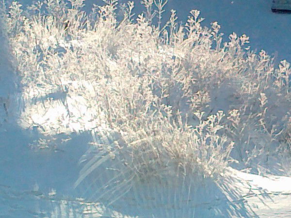 Жека Саксон