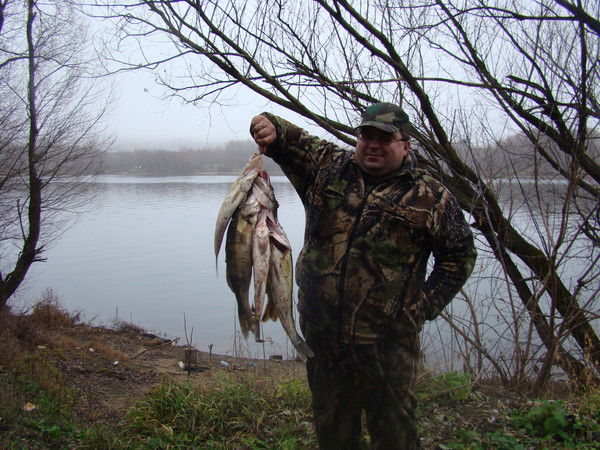 Михаил Бойко