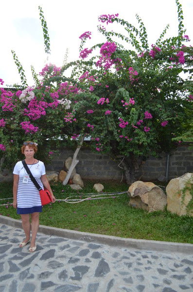 Елена Засухина