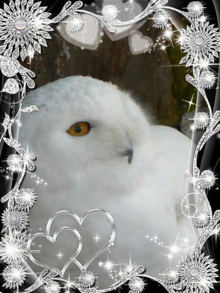 Наталья Овчинникова