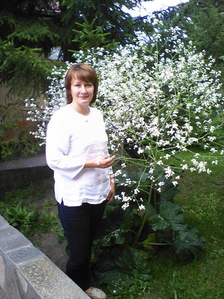 Елена Водонюк