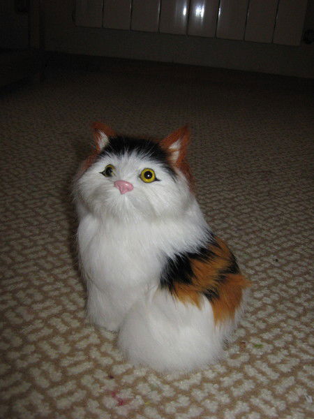 Роза Бродецкая