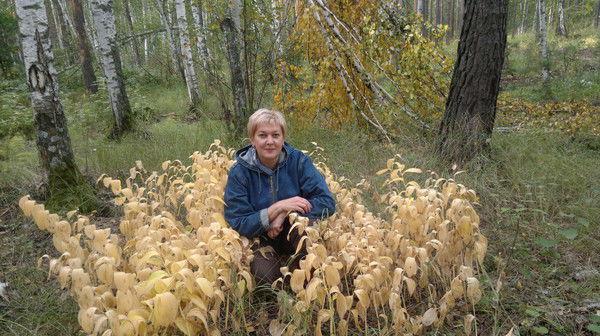 Елена Чигладзе