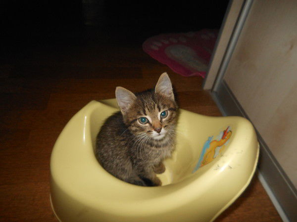 Ольга Оборина