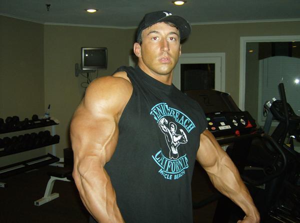 Александр Шелестов