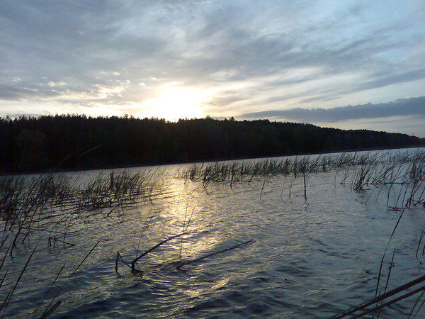 Андрей Соколов