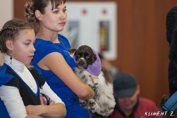 Елена Башкатова