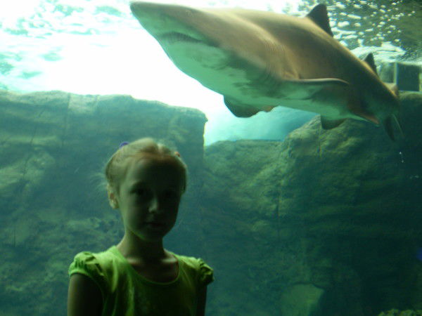 Аделина Ахмадуллина