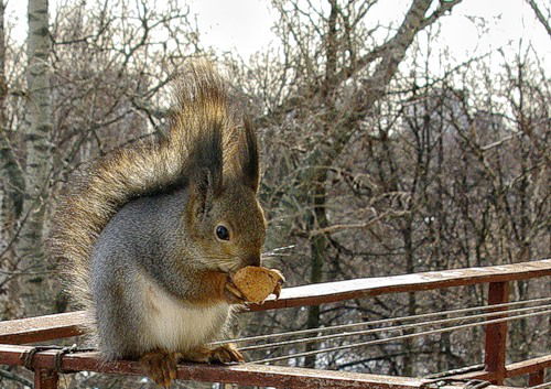 Валентина Выставкина