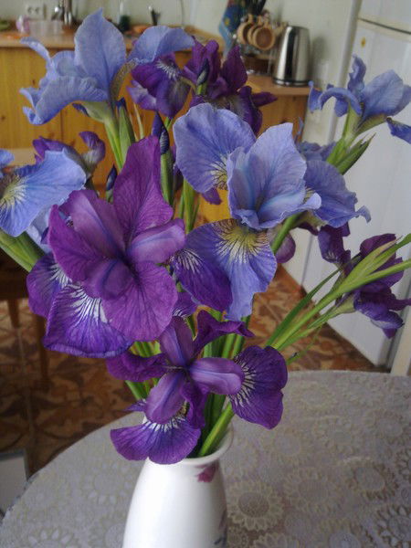 Людмила Федотова