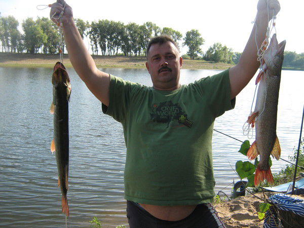 Владимир Карковский