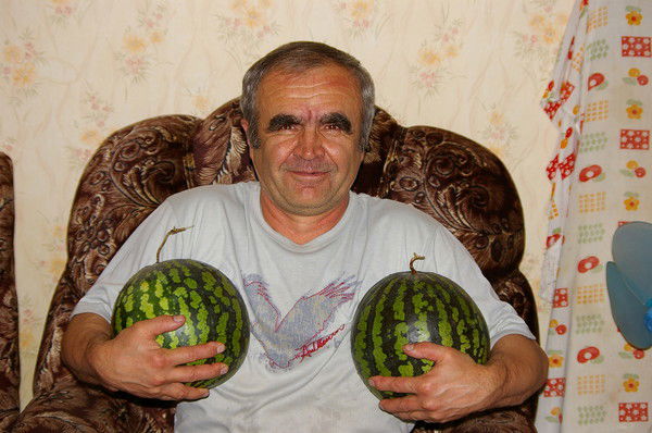 Виталий Кушнир