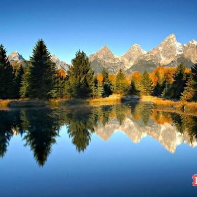 Марта Петрова