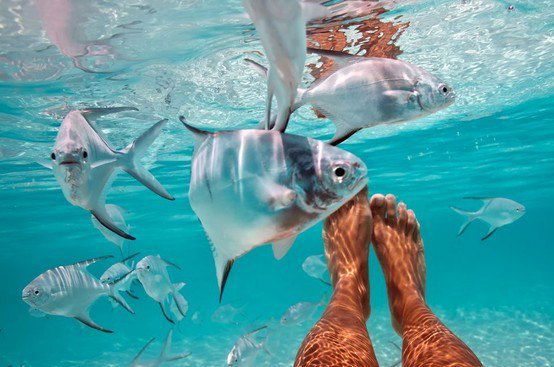 Елена Drozdovа