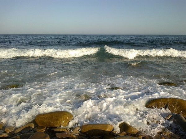 Евгений Колжунов