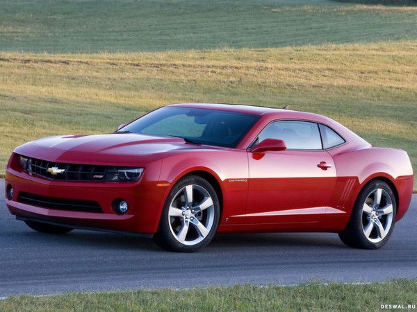 Дмитрий Шелепов