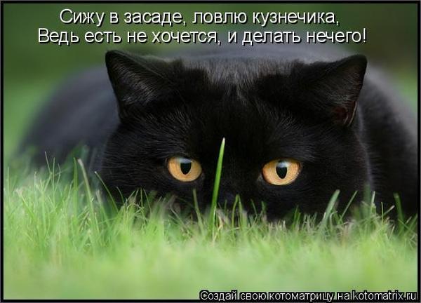 Ааааааааааааааа Аааааааааааааааа