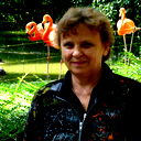Елена Кудрейко