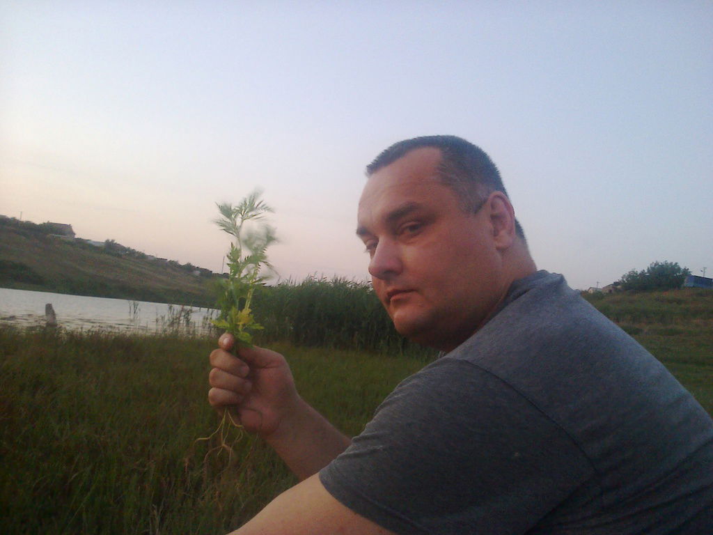 Евгений Шипетко