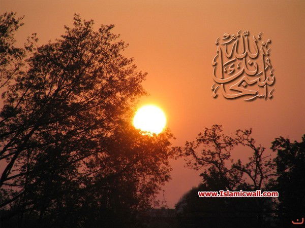 Арайка Асембаева