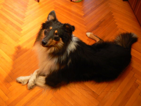 Елена Мальнева