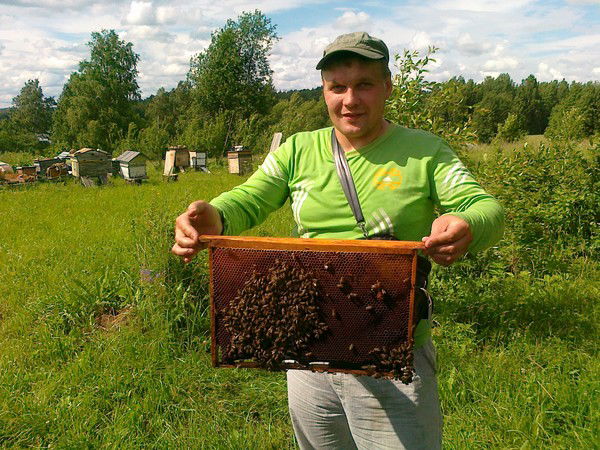 Денис Киселев