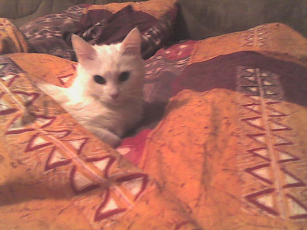 Ирина Константинова