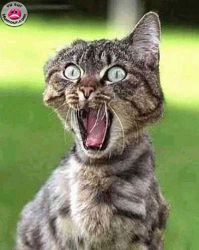 Юльчик Наплавкова