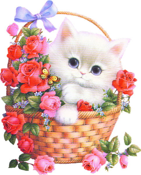 Ирина Качанова