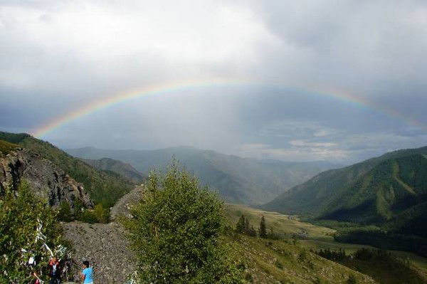 Наталья Коршунова