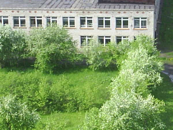 Школа Енапаевская