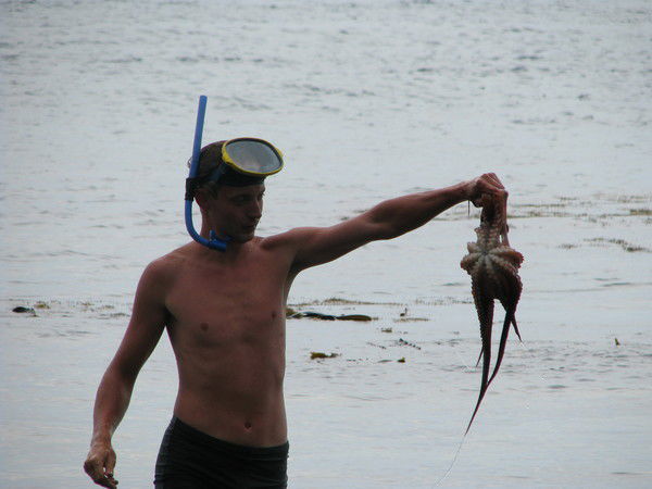 Миха Василенко