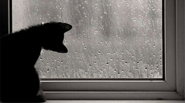 Луиза Николаева