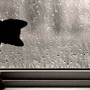 Луиза Николаева