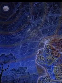 Антон Визгин