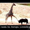 {Tatarin} ........
