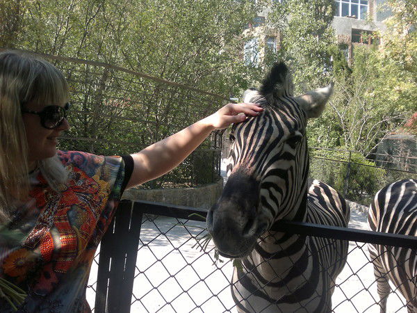 Анна Терещенко