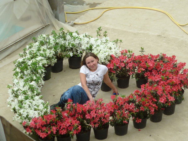 Инна Артамонова