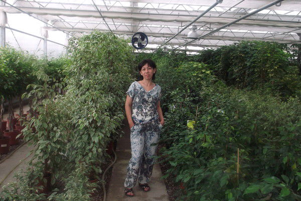 Айсауле Сембиева