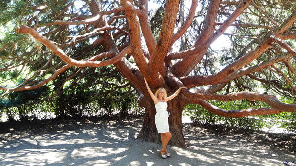 Наталия Адамова