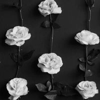 Алина Верменич