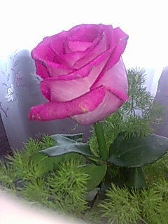 Юлия Закирова