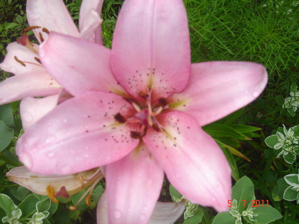 Ярмоленко Татьяна