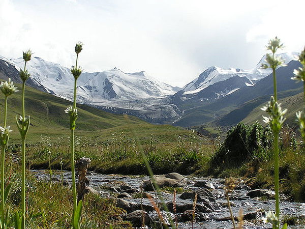 Татьяна Доронина
