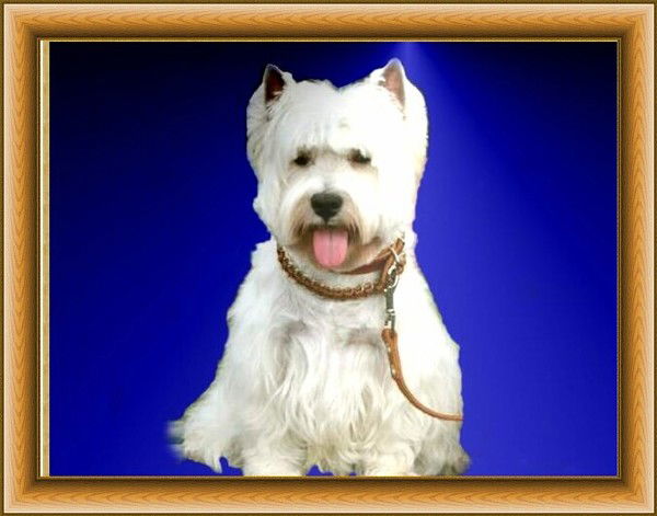 Игорь Ремизов