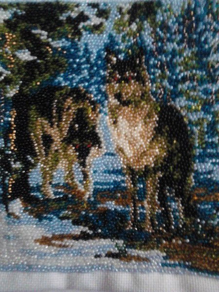 Зоя Сушкевич