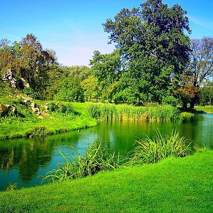 Администрация Гололобо