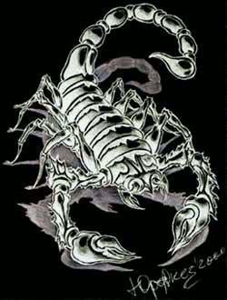 Зиля Шарифуллина