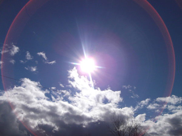 Александра Паршакова