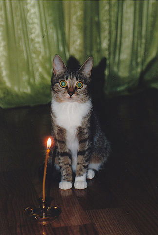 Лия Волошина